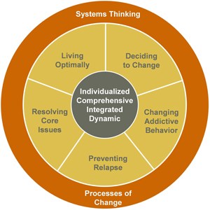 Management Model